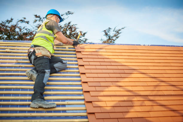 Best Roof Coating and Sealing  in Sherrelwood, CO